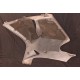 Carénage latéral droit pour HONDA CBR 1100 XX